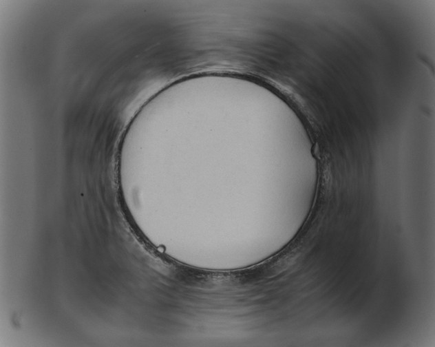 X0000103131375200809121722