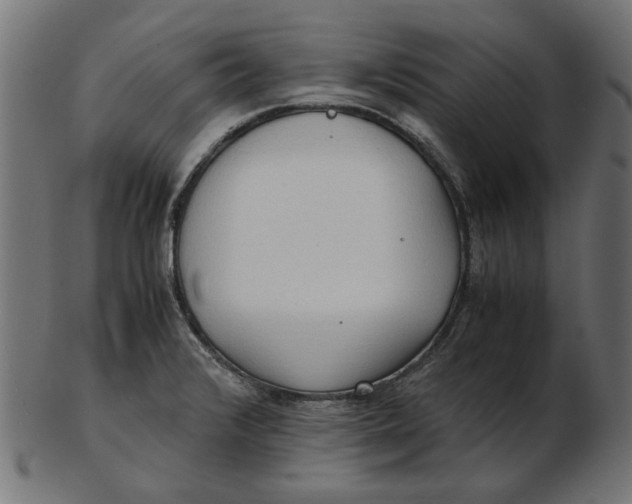 X0000103131376200809121722