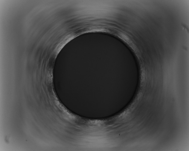 X0000103131377200809121722