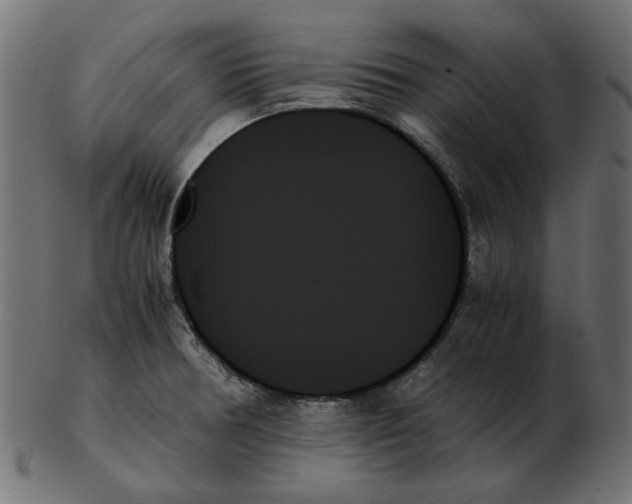 X0000103131378200809121722