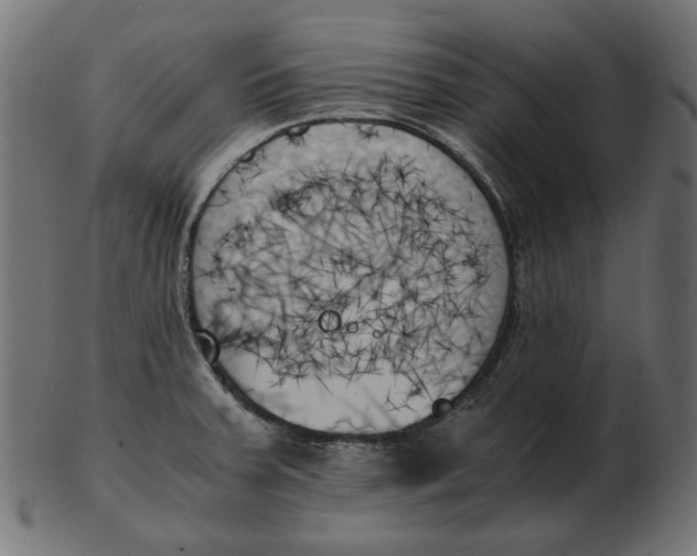 X0000103131379200809121722