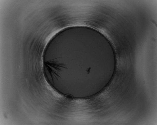 X0000103131380200809121722
