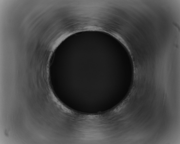 X0000103131381200809121722