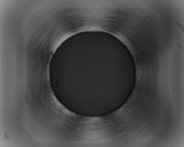 X0000103131382200809121722