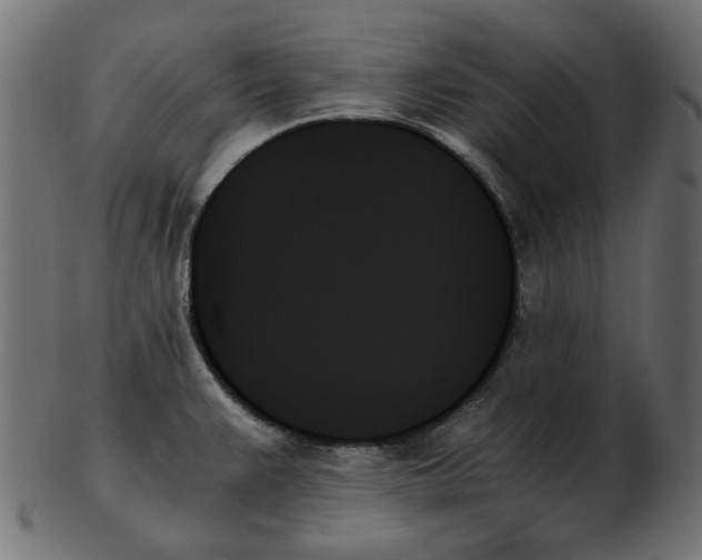 X0000103131383200809121722