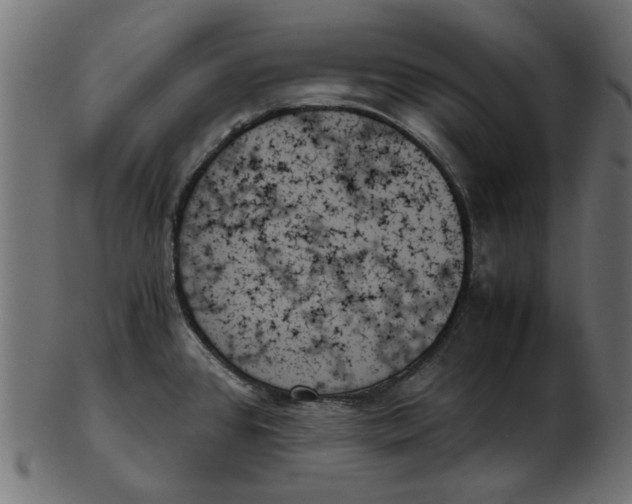 X0000103131384200809121722