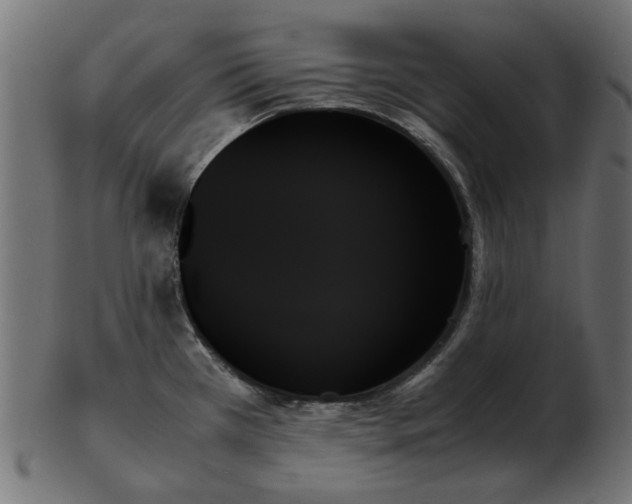 X0000103131385200809121722