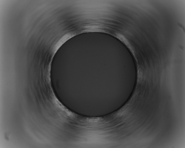 X0000103131386200809121722