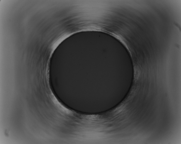 X0000103131387200809121722