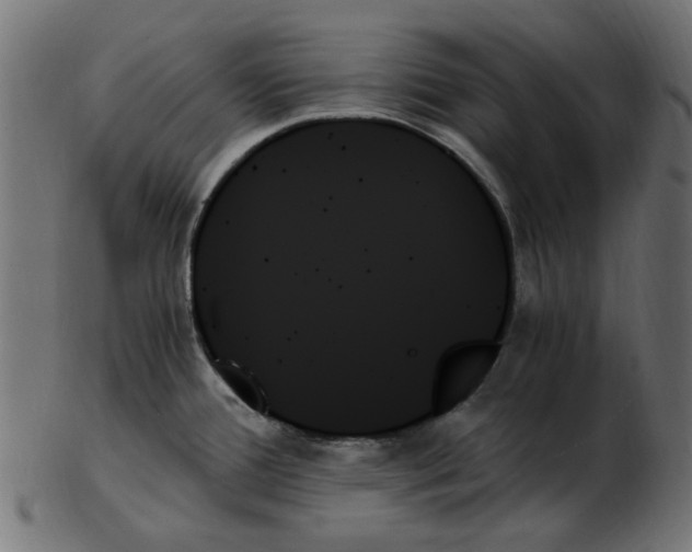 X0000103131388200809121722