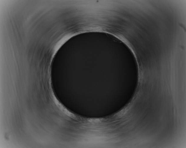 X0000103131389200809121722