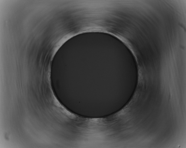 X0000103131390200809121722