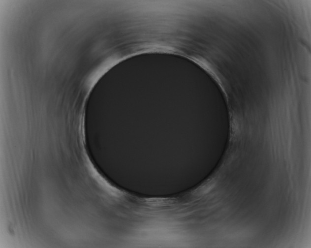 X0000103131391200809121722