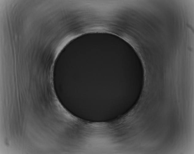 X0000103131392200809121722