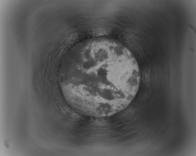X0000103131393200809121721