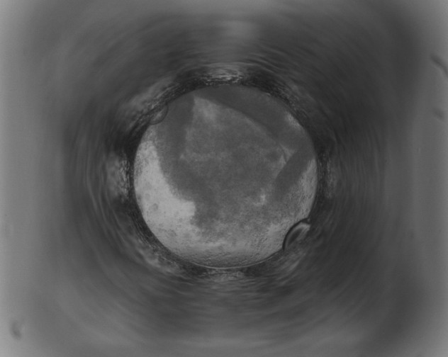 X0000103131394200809121721