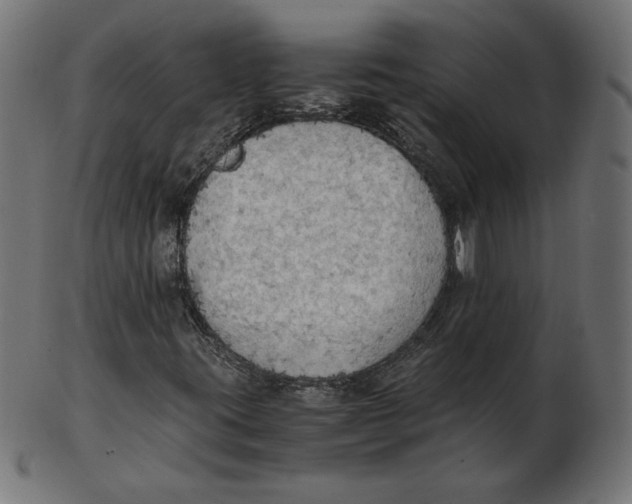 X0000103131395200809121721