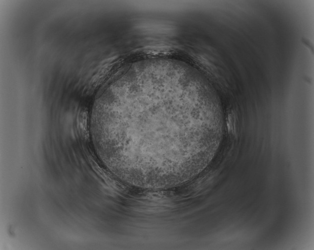X0000103131396200809121721