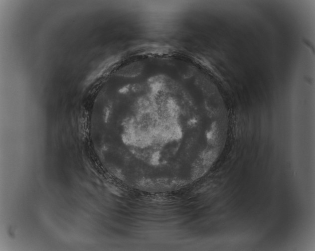 X0000103131399200809121721