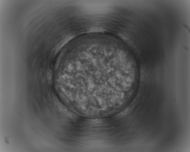 X0000103131401200809121721