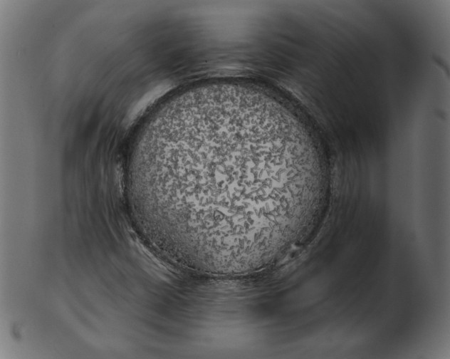 X0000103131402200809121721
