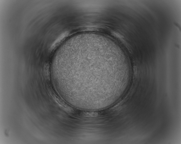 X0000103131403200809121721