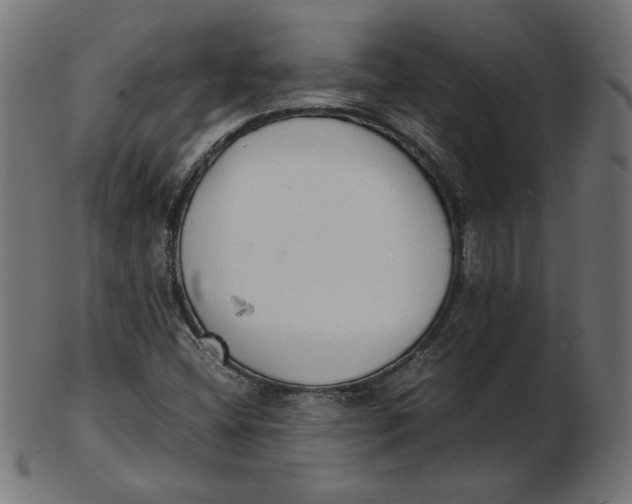 X0000103131404200809121721