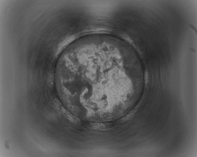 X0000103131405200809121721