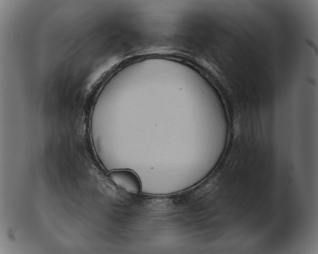 X0000103131406200809121721