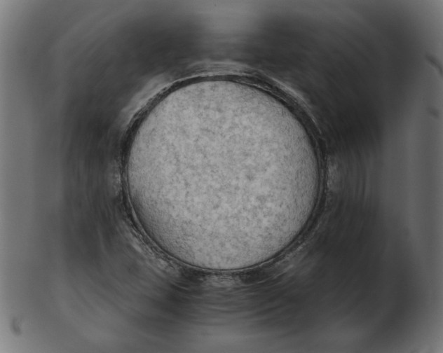 X0000103131407200809121721