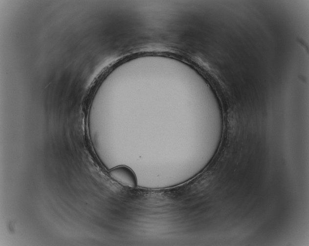 X0000103131408200809121721