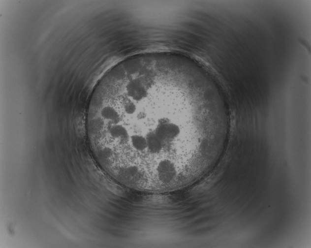 X0000103131409200809121721