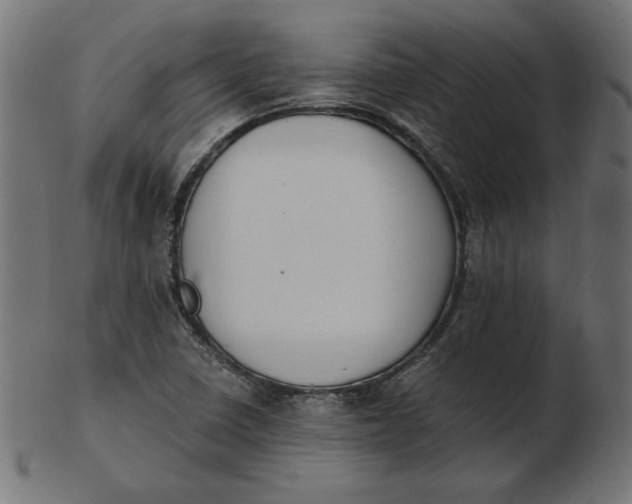 X0000103131410200809121721