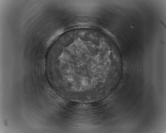 X0000103131411200809121721