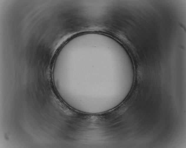 X0000103131412200809121721