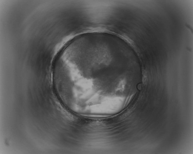 X0000103131414200809121721