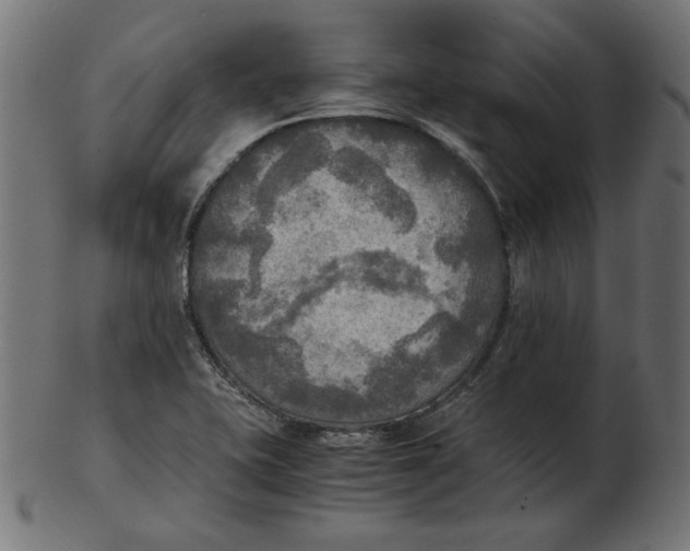 X0000103131415200809121721