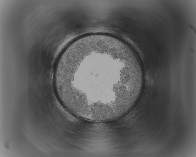 X0000103131416200809121721