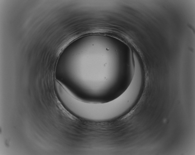 X0000103131417200809121722