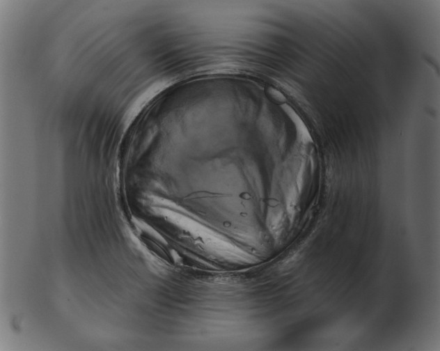 X0000103131418200809121722