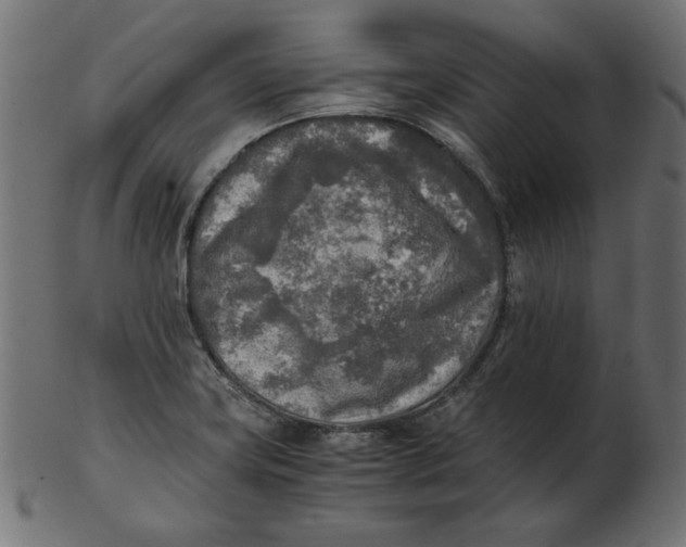 X0000103131419200809121722
