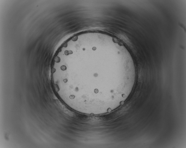 X0000103131420200809121722