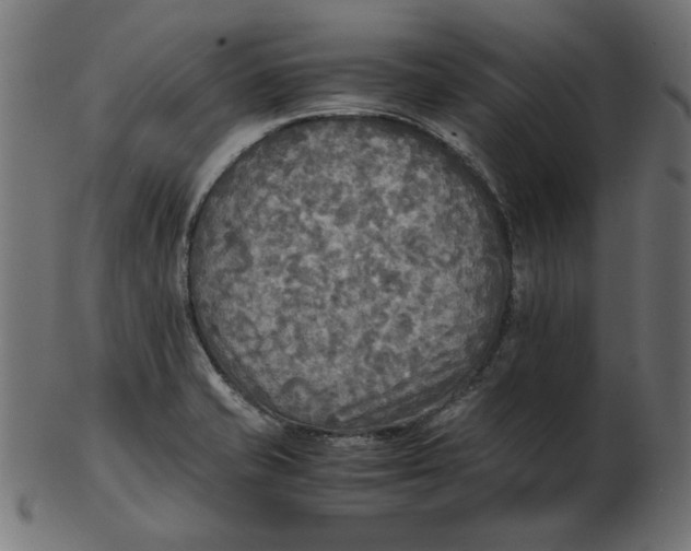 X0000103131421200809121722