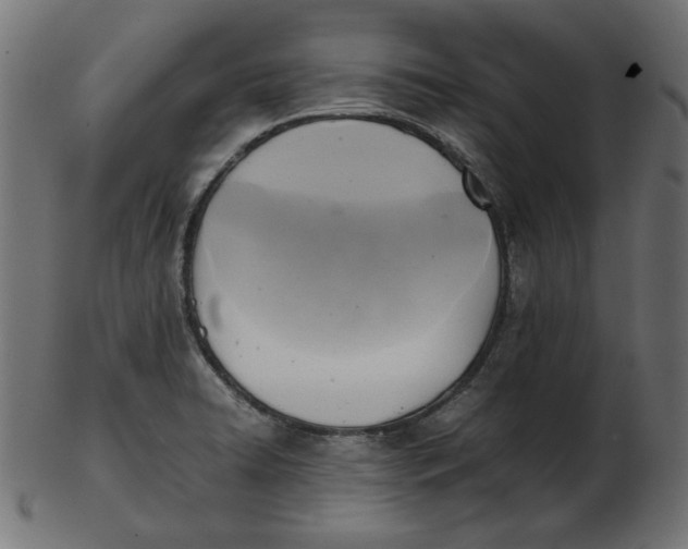 X0000103131422200809121722