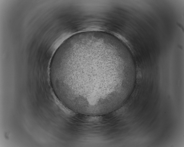 X0000103131423200809121722