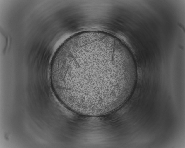X0000103131424200809121722