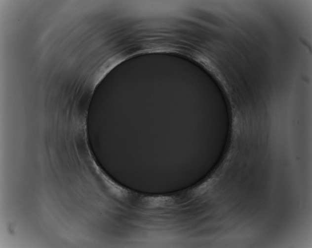 X0000103131425200809121722
