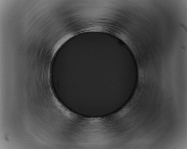 X0000103131426200809121722