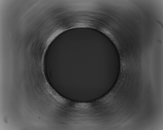 X0000103131427200809121722