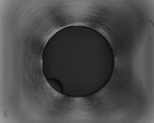 X0000103131428200809121722